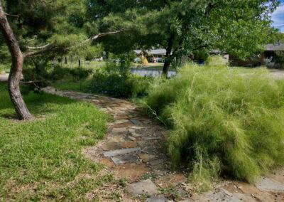 A view of the stone pathway which winds it s way through the yard and curves around the flower beds. It is lined with green grass to the left and bamboo muhly to the right.