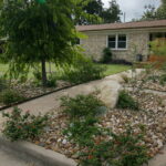 This image depicts a close-up view of a river rock bed. The plants are white and red lantana, blackfoot daisies and a small two foot Desert Willow.