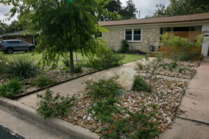 This image depicts a close-up view of a river rock bed. The plants are white and red lantana, blackfoot daisies and a small two foot Desert Willow.