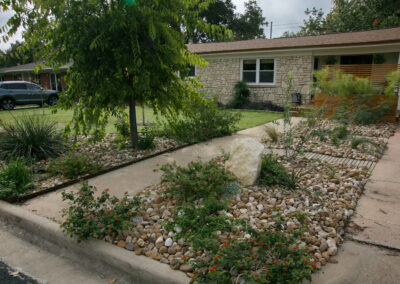 This image depicts a close-up view of a river rock bed. The plants are white and red lantana, blackfoot daisies and a small two foot Desert Willow.