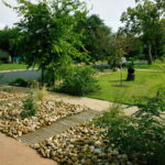 A view of a small bamboo path which divides the river rock beds and leads to the front sidewalk. The beds have muhy bamboo and native grasses an a pride of barbados.