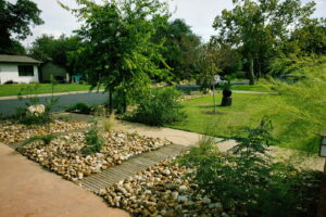 A view of a small bamboo path which divides the river rock beds and leads to the front sidewalk. The beds have muhy bamboo and native grasses an a pride of barbados.