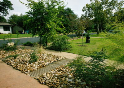 A view of a small bamboo path which divides the river rock beds and leads to the front sidewalk. The beds have muhy bamboo and native grasses an a pride of barbados.