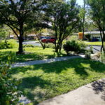 Another look at the yard with green grass and a beautiful shade tree.