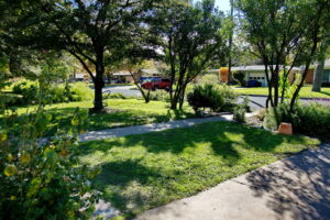 Another look at the yard with green grass and a beautiful shade tree.