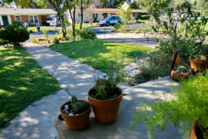 Flower pots with succulents line the sidewalk leading up to the front door.