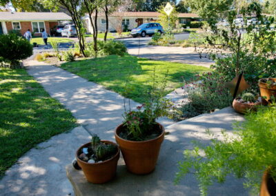 Flower pots with succulents line the sidewalk leading up to the front door.