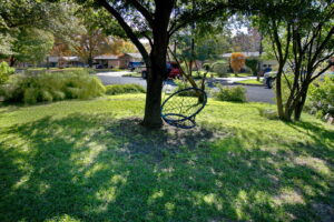 A swing hangs invitingly off the branch of a shade tree.
