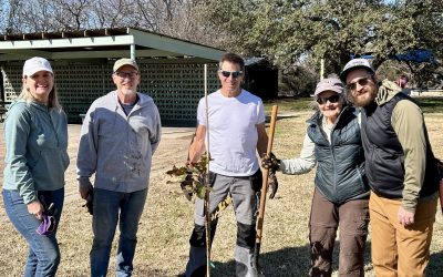 It’s My Park Day – Mar 7