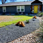 A view of the curved flower bed with dark gray gravel leading to the front door. The gravel has large rocks placed along the curve and includes a blue agave and coral yuccas.