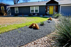 A view of the curved flower bed with dark gray gravel leading to the front door. The gravel has large rocks placed along the curve and includes a blue agave and coral yuccas.