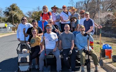 Spring Tree Planting in Bartholomew Park – Feb/Mar