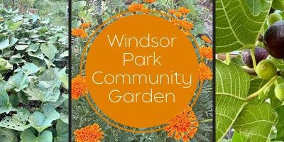 WP Community Garden Volunteer Day August 23