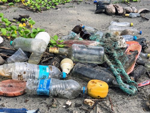 Plastic waste on a beach